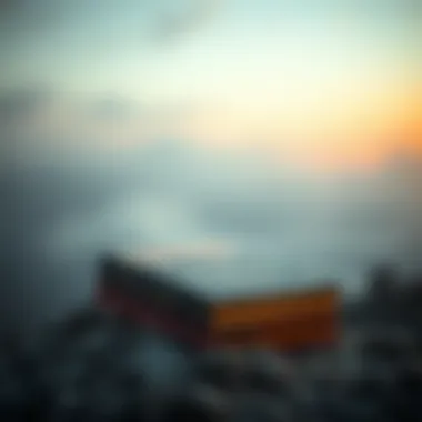 Magnificent Chasing the Scream: An In-depth Exploration of Pain and Liberation