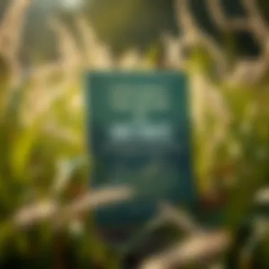 Magnificent Exploring the Depths of Sweetgrass: A Comprehensive Book Review Magnificent Exploring the Depths of Sweetgrass: A Comprehensive Book Review