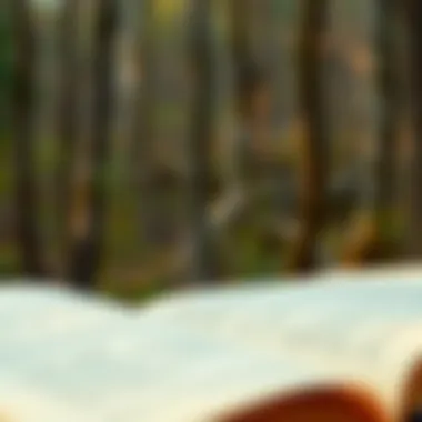 Magnificent Thoreau's Lessons from Walden: A Deep Dive into a Timeless Text