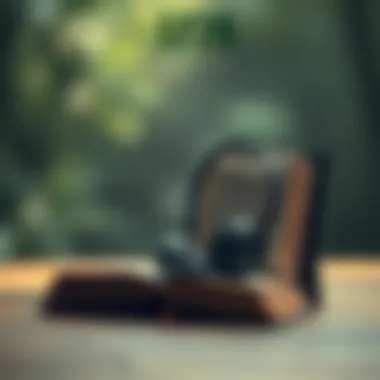 Magnificent Understanding Audiobooks: Mechanisms and Impact