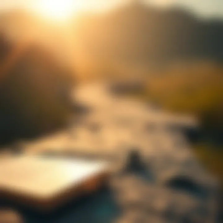 Magnificent Understanding the Happiness Trap: A Complex Journey