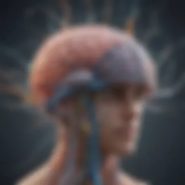 Understanding Neural Pathways A brain illustration showcasing neural connections