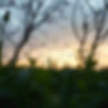 Environmental Influences on Habits Diagram showing environmental influences on habits