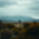 A serene landscape symbolizing isolation and introspection