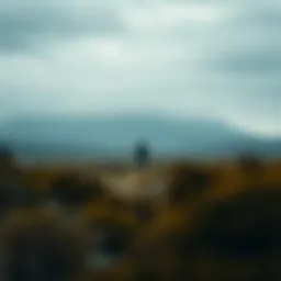 A serene landscape symbolizing isolation and introspection