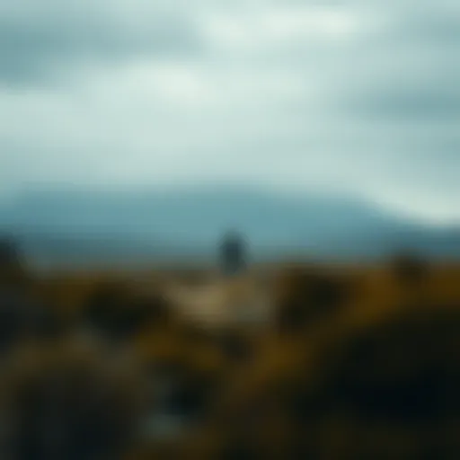 A serene landscape symbolizing isolation and introspection