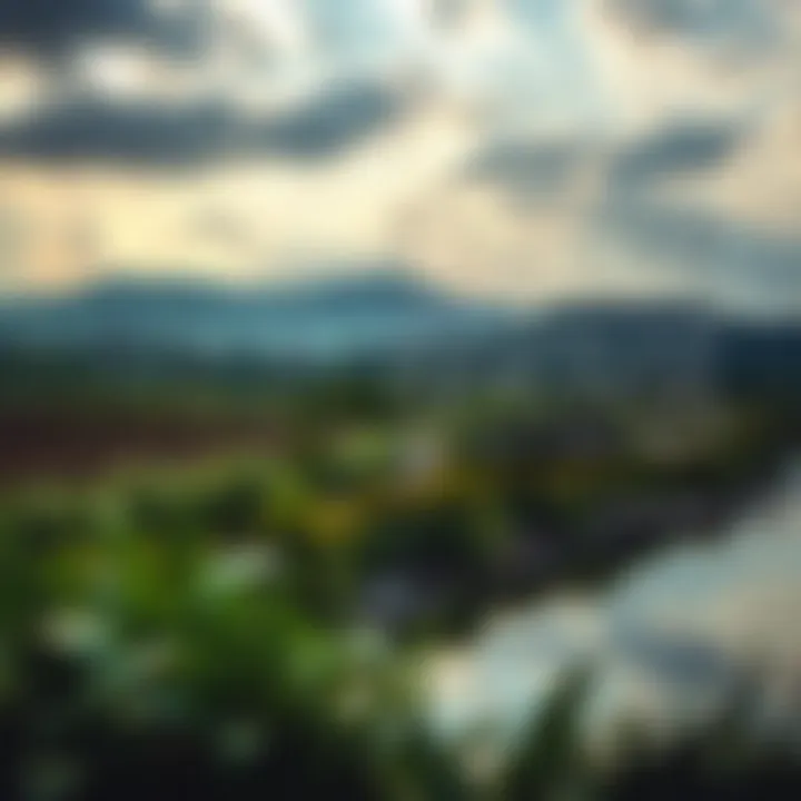 Finding Serenity in Words A tranquil landscape reflecting inner peace