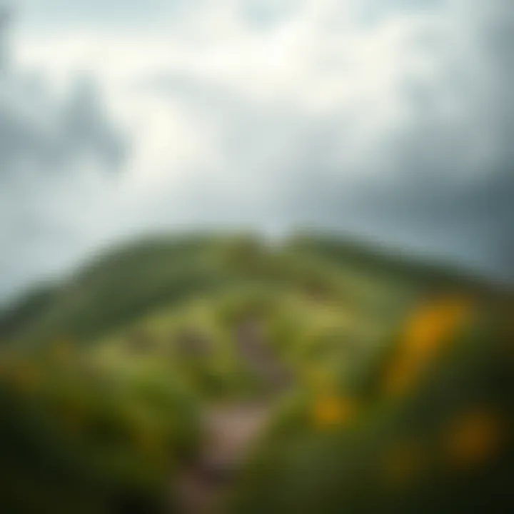 Journey to Self-Improvement Illustration of a path leading to personal growth