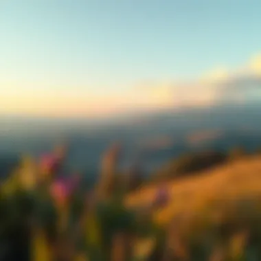 Visual Metaphor for Social Equity A serene landscape symbolizing equality and justice