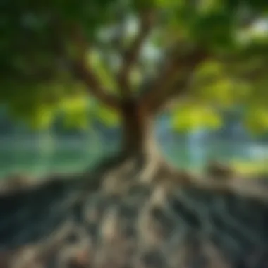 Roots of Personal Growth A tree with deep roots illustrating personal growth and development