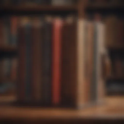 A bookshelf brimming with classic novels