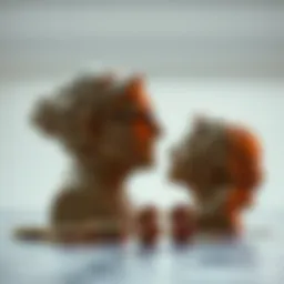 Conceptual illustration of contrasting financial philosophies