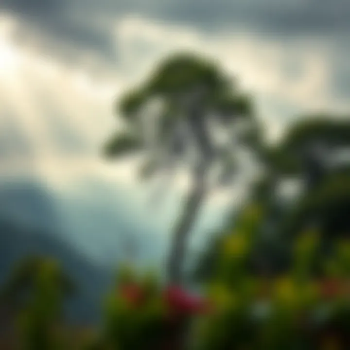 A resilient tree standing tall amidst a stormy environment