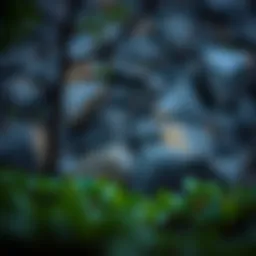 Exploring Ikigai: A Deep Dive into the Concept of Life's Purpose Introduction