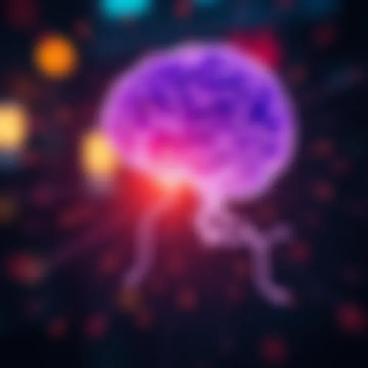 Insights into decision-making