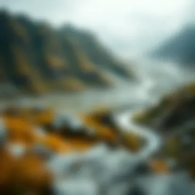 Visualization of emotional responses