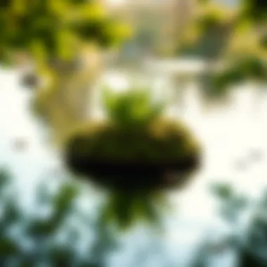 Nature's Reflection of Personal Growth A serene nature scene symbolizing growth