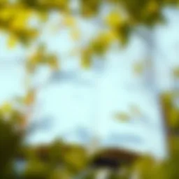 Philosophical concepts of happiness