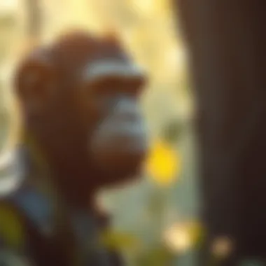 Strategies for Inner Harmony Strategies for managing inner conflicts derived from the Chimp Paradox