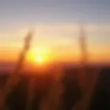 A serene sunrise symbolizing new beginnings