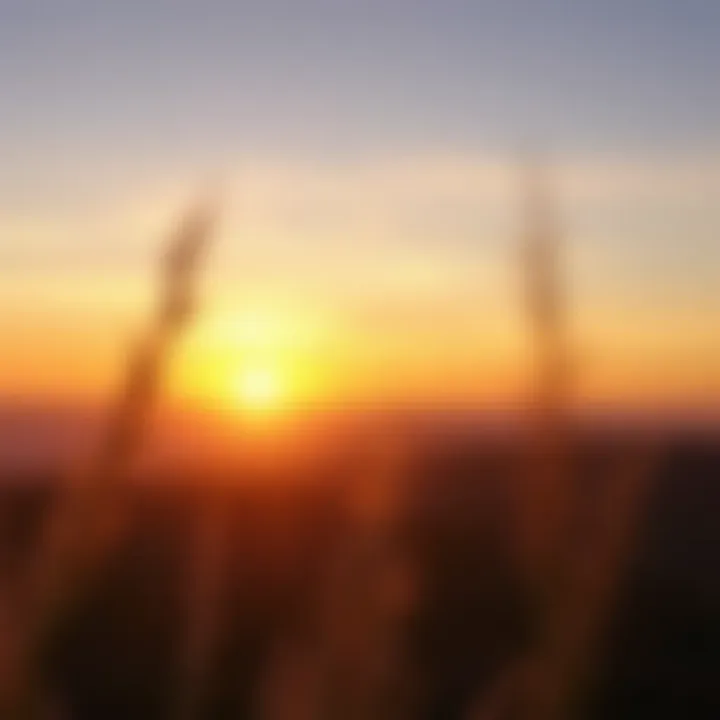 A serene sunrise symbolizing new beginnings