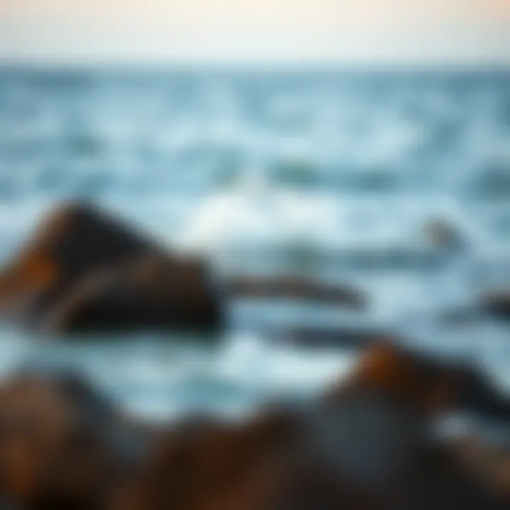 Resilience and Strength A calm ocean with waves crashing against rocks, representing resilience and strength in adversity