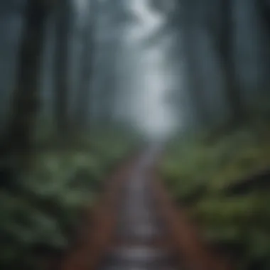 The Path of Fear and Discovery A dark forest path, evoking a sense of fear and moral ambiguity.