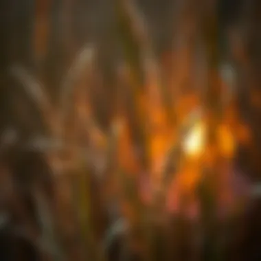 Symbolic representation of connection in literature