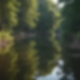 A tranquil scene of Walden Pond reflecting the surrounding trees