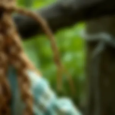 Exploring the Essence of Braiding Sweetgrass Summary Exploring the Essence of Braiding Sweetgrass Summary