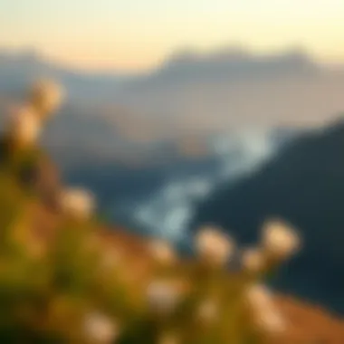 Romantic Landscapes A serene landscape symbolizing romantic journeys