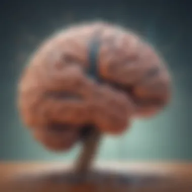 The Impact of Nutrition on Brain Function Illustration of the brain with highlighted neural pathways stimulated by nutrition