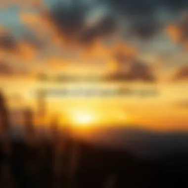 A sunrise symbolizing new beginnings and motivation