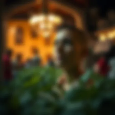 Personal Growth Through Habits Symbolic representation of personal growth through habits