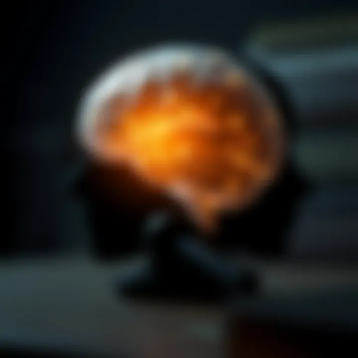 Psychology and legal frameworks correlation