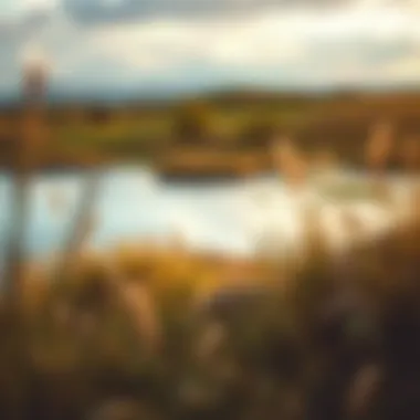 Exploring the Landscape of Highly Sensitive People Introduction