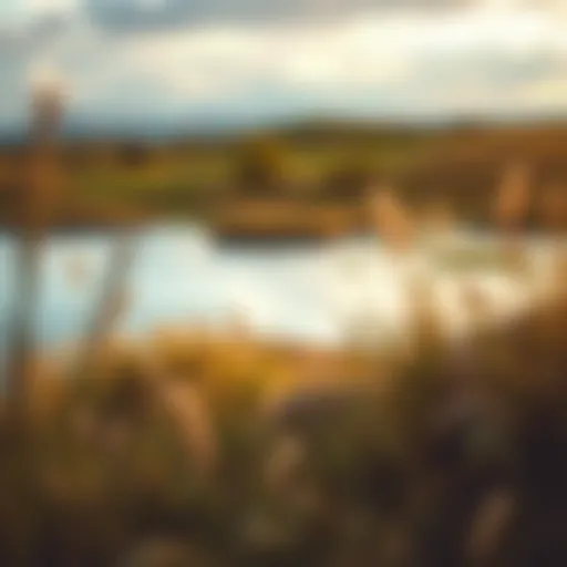 Exploring the Landscape of Highly Sensitive People Introduction