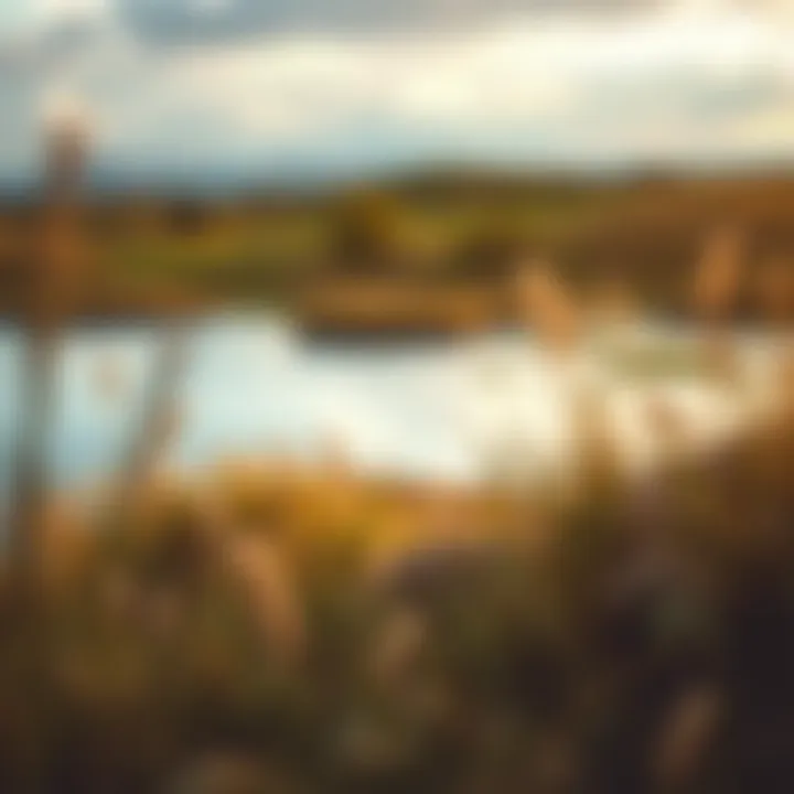 Exploring the Landscape of Highly Sensitive People Introduction