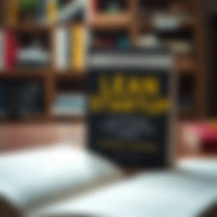 Core Principles of Lean Startup Methodology Visual representation of Lean Startup principles