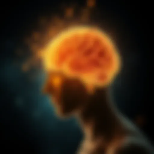 Illuminated Mind A mind illuminating with ideas