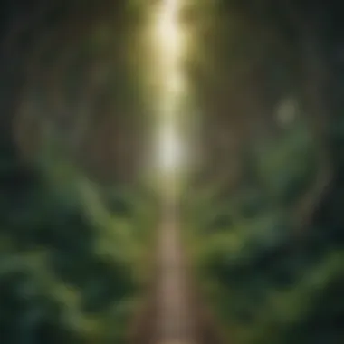 Interconnected Paths of Growth An abstract representation of personal growth through interconnected paths