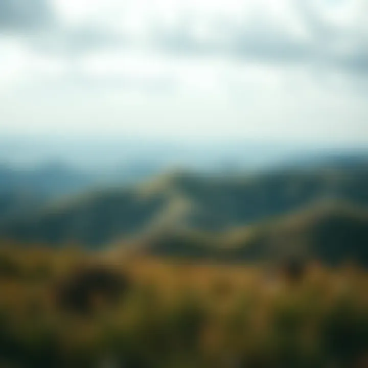 Shared Emotional Landscapes An abstract representation of shared emotional experiences.