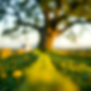Exploring the Seven Spiritual Laws of Success: A Comprehensive Overview Introduction