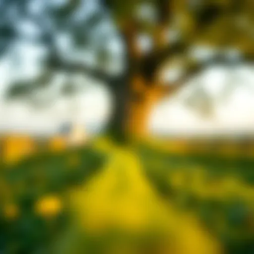 Exploring the Seven Spiritual Laws of Success: A Comprehensive Overview Introduction