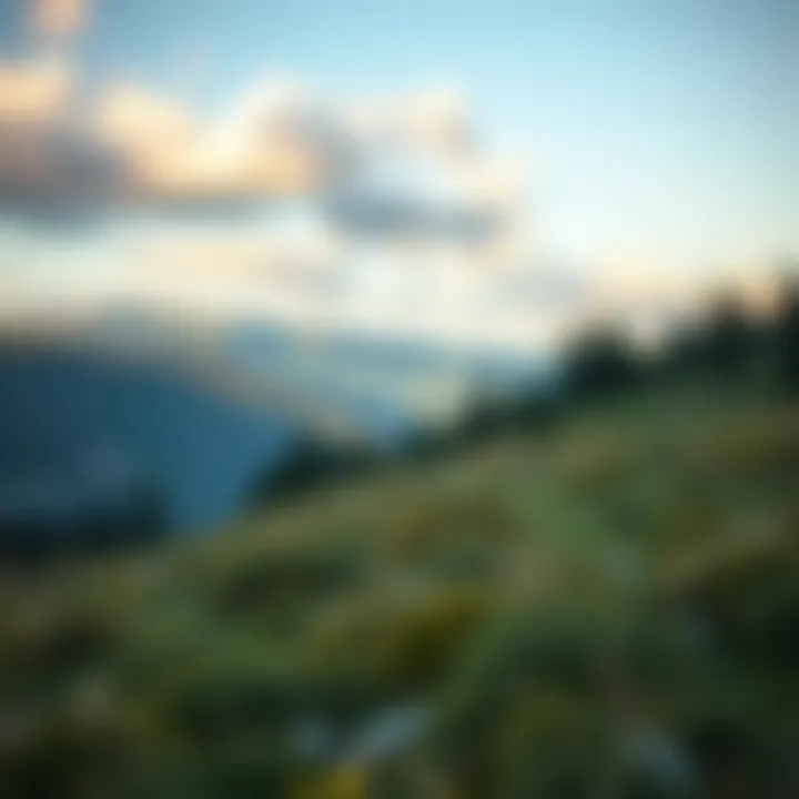 A serene landscape symbolizing clarity and peace