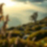 A serene landscape depicting the journey of self-discovery