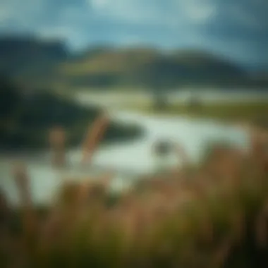 Tranquility and Focus in Personal Growth A serene landscape symbolizing tranquility and focus essential for personal growth