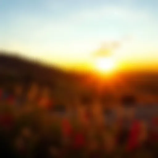 A serene landscape with a sunrise symbolizing new beginnings