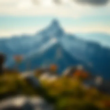 A mountain peak representing achievement and perseverance