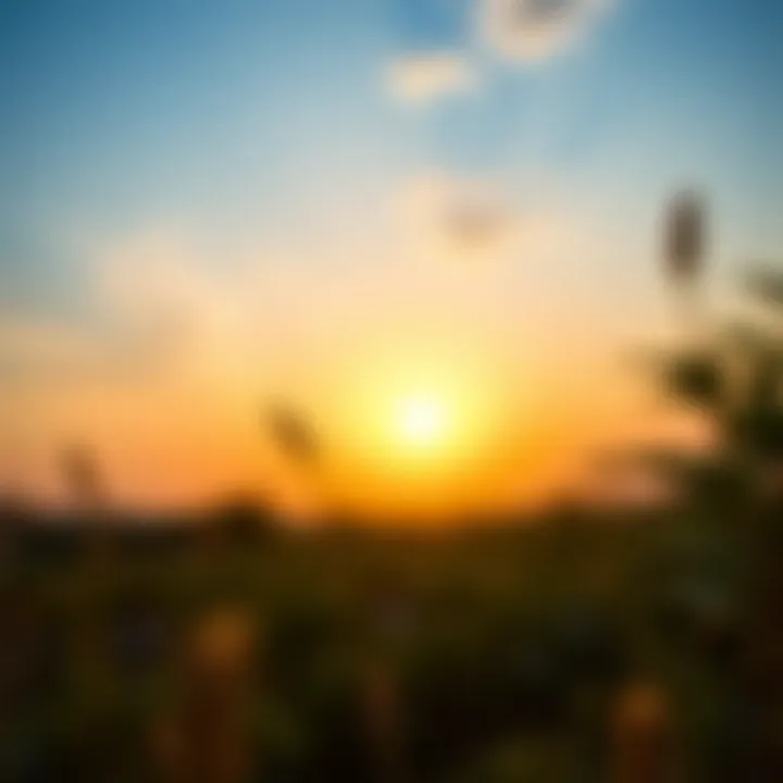 A sunrise symbolizing fresh starts and optimism